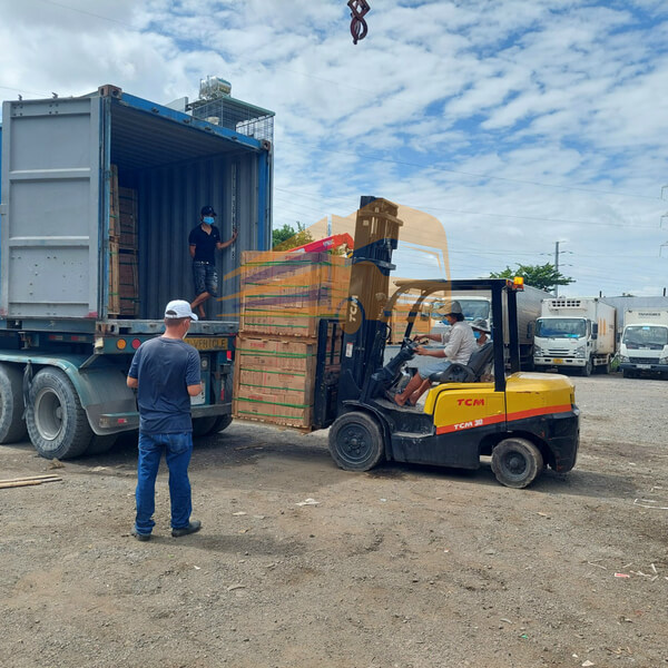Vận chuyển hàng hoá bằng xe tải